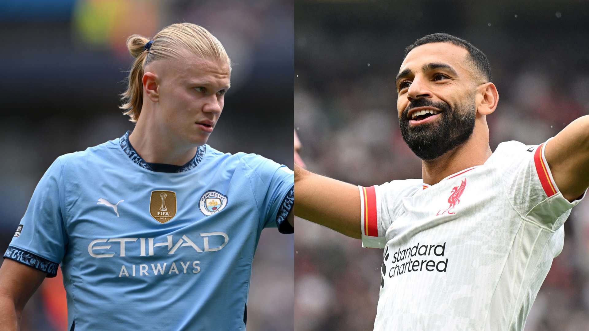 才孵化的全 才孵化的全